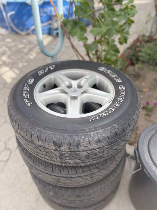 Комплекс дисики ризина Rx