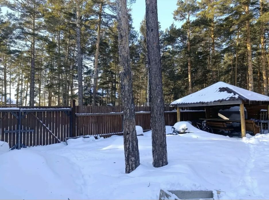 Продам дом в лесу