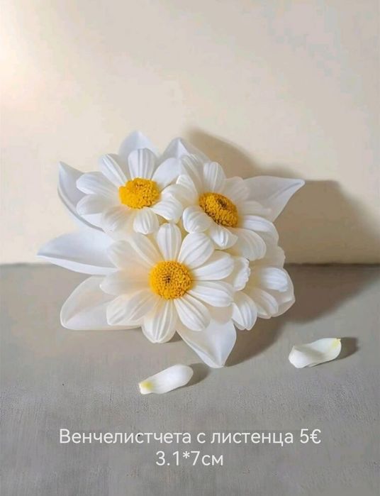 Молдове Нови модели