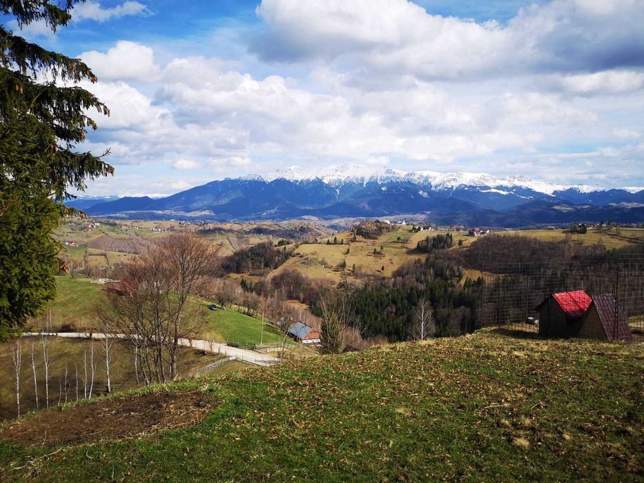 Teren intravilan cu PUZ sat Pestera - Moieciu - 4000 mp (apa, gaz, curent)
