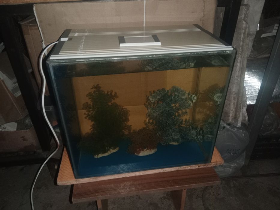Аквариум 60л + бонусы и рыбки.