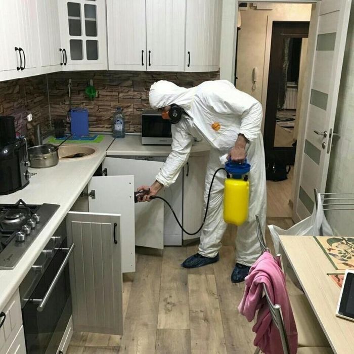 Дератизация дизинфекция озонирование