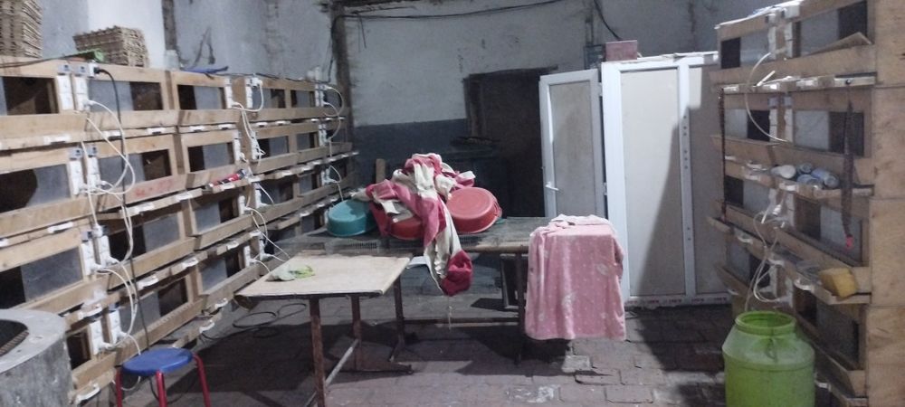 Продам б/у оборудование для птицеферы