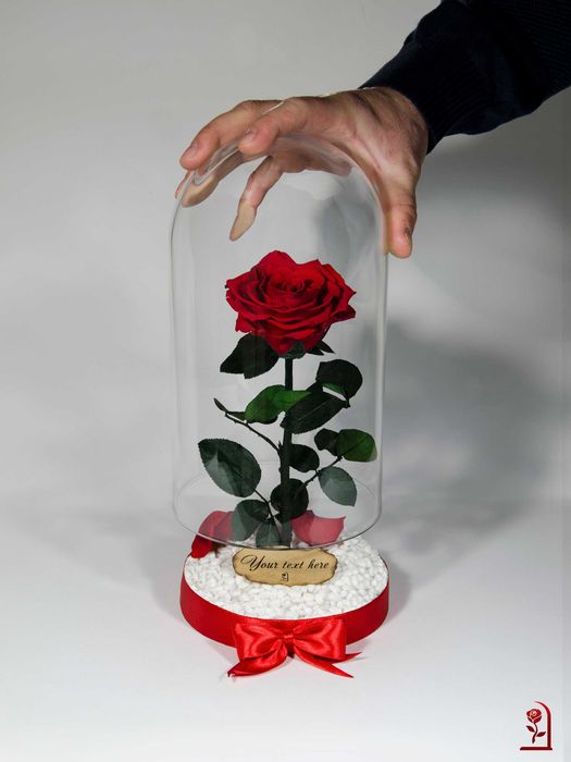 Естествена Вечна Роза в Стъкленица / Подарък за Рожден Ден на Жена
