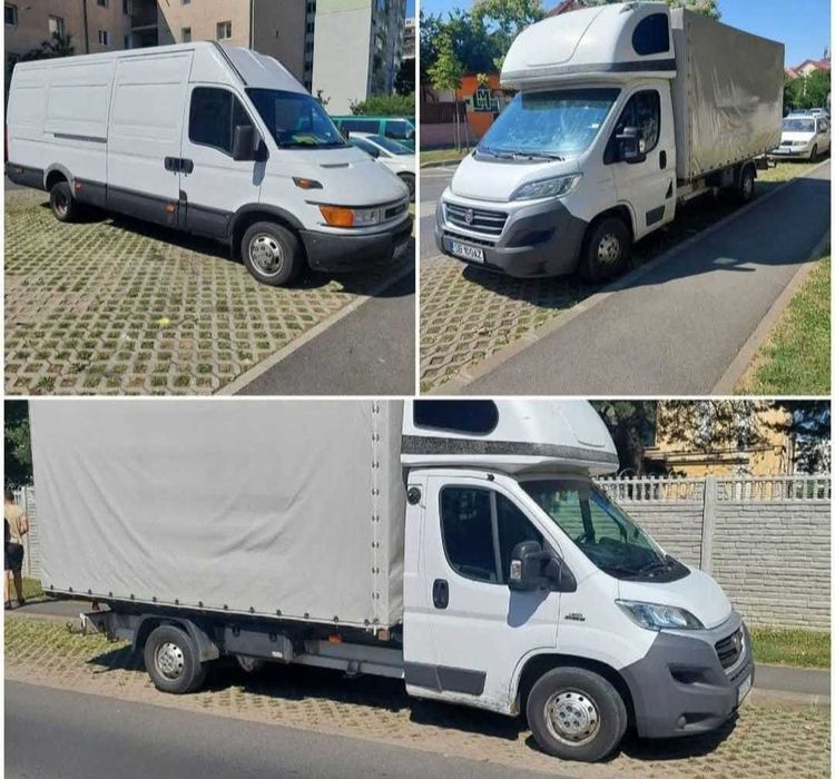 Transport mobila, mutari și debarasări