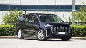 Voyah Dreamer  Premium pod zakaz