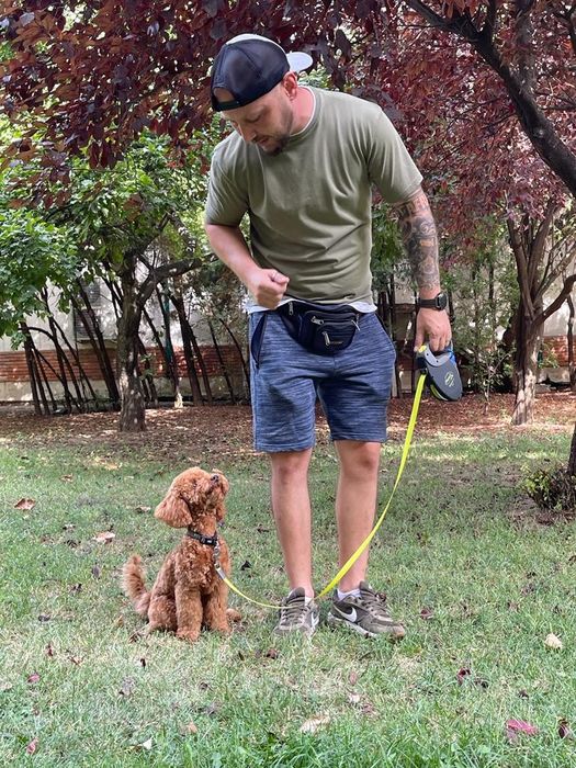 Consiliere și dresaj canin la domiciliu