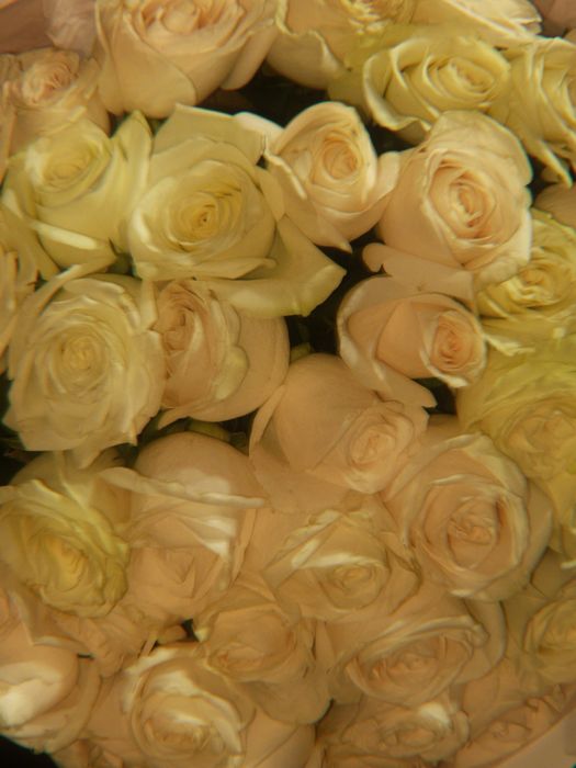 Цветы кениские  5500.