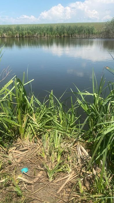 Teren intravilan de vânzare – Butimanu – Niculești