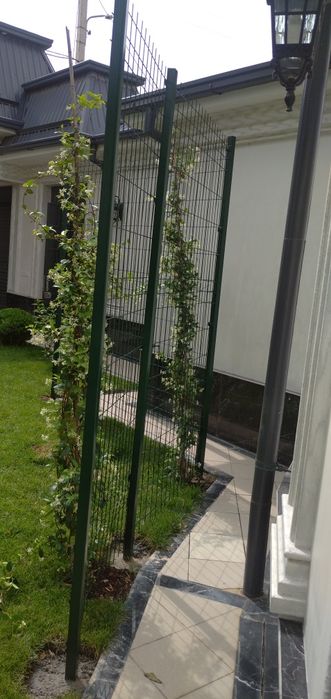 3D Setkalar eng arzon narxlarda