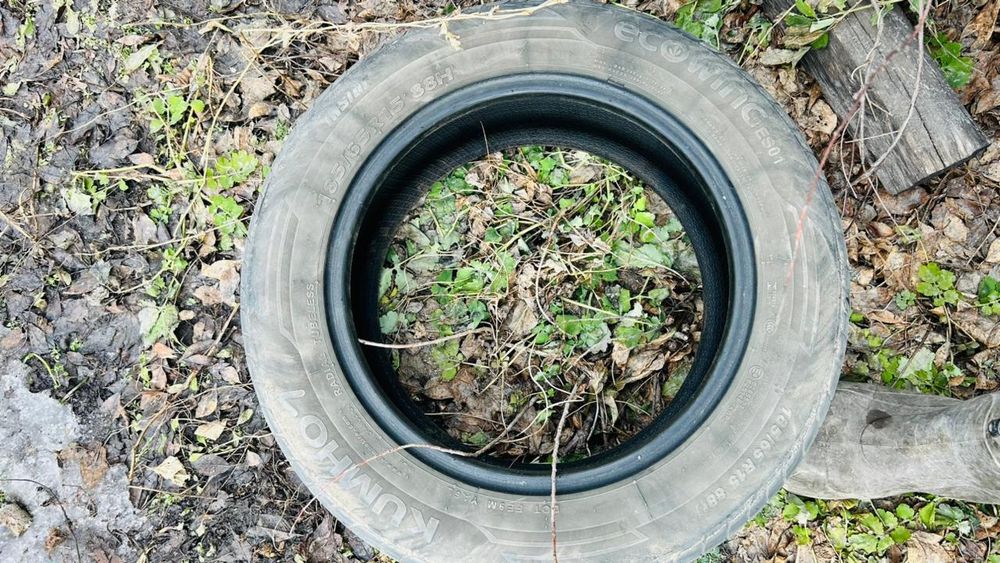 Продам шины летние размер 15