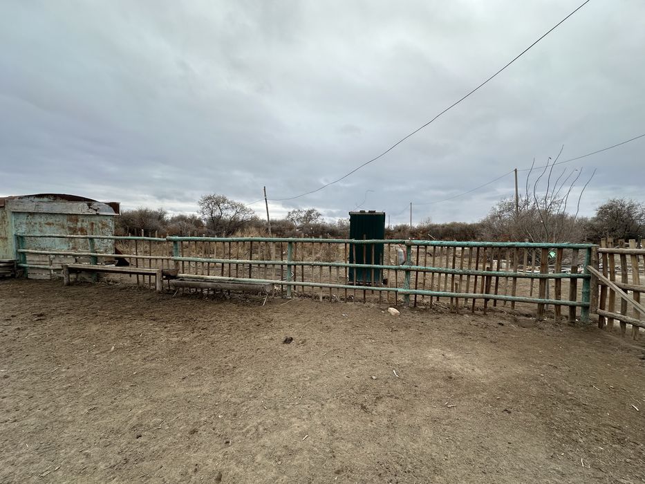 Фазенда сатылады Талсуатта