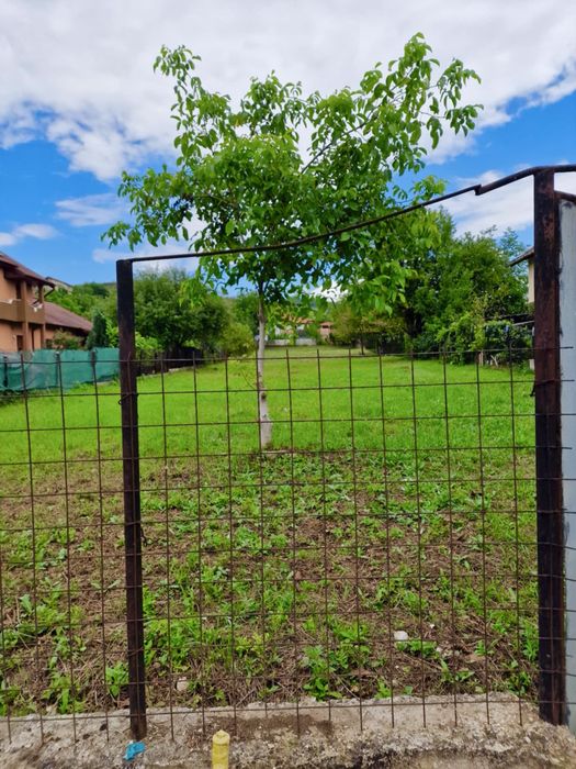 Teren Intravilan 1571 mp,Hunedoara str Latureni,