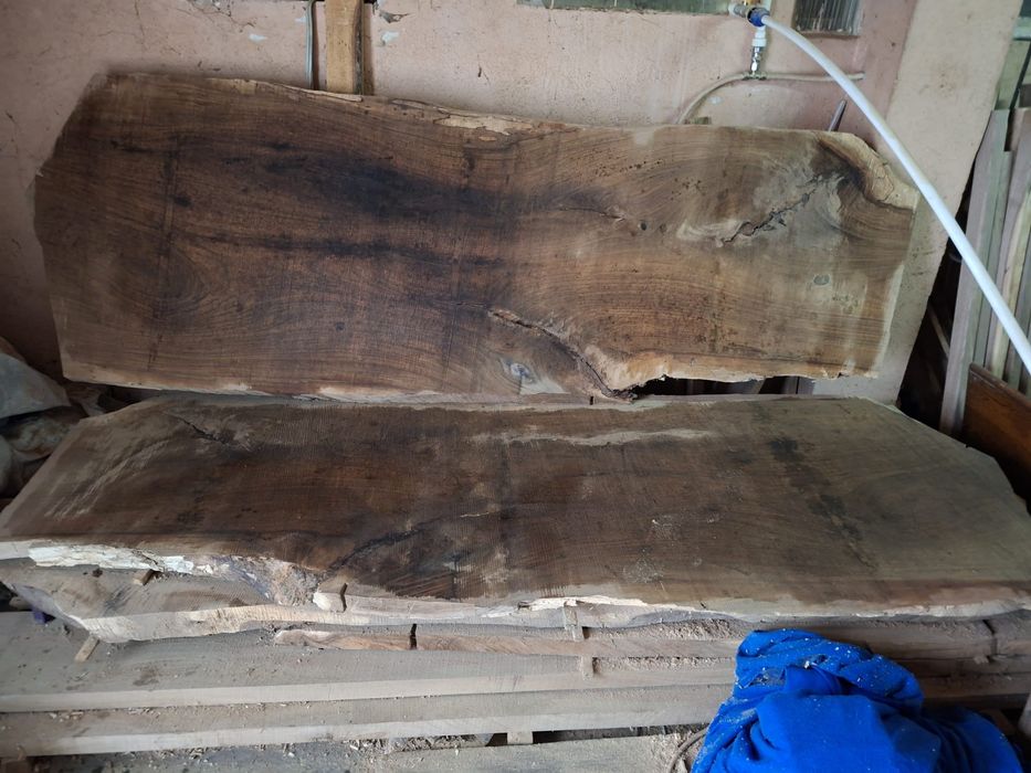 Lemn nuc, cherestea nuc, blat nuc, nuc lemn masiv