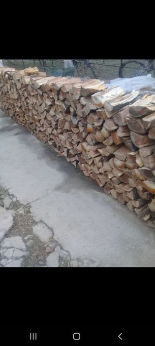 Otin sumalyka Dastafka xizmati bor