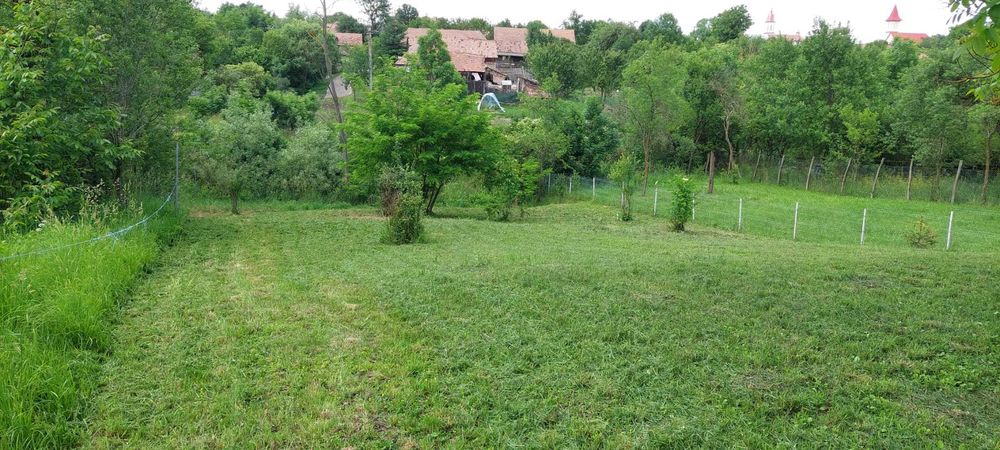 Vand 10 ari teren intravilan în SANTU