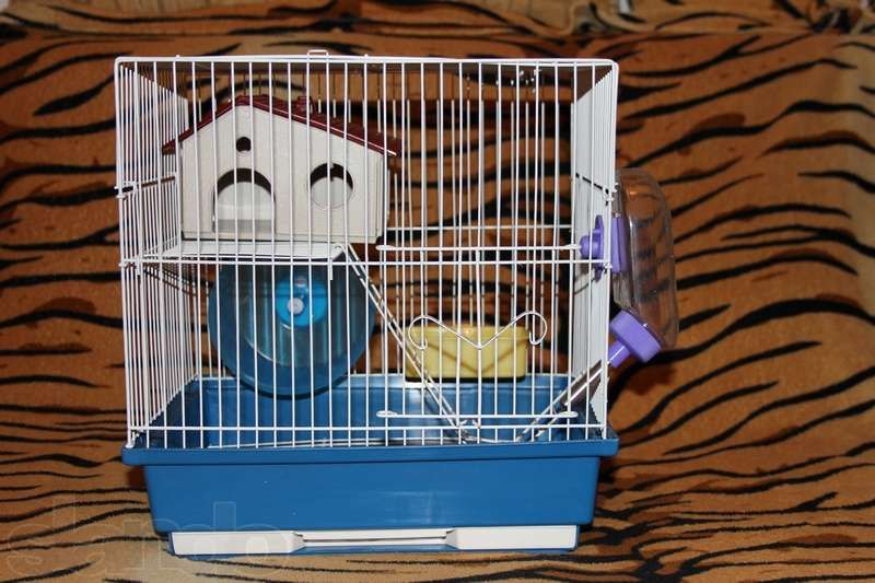 Клетки для мелких грызунов