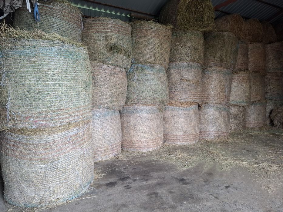 Vând baloți rotunzi lucernă și fân