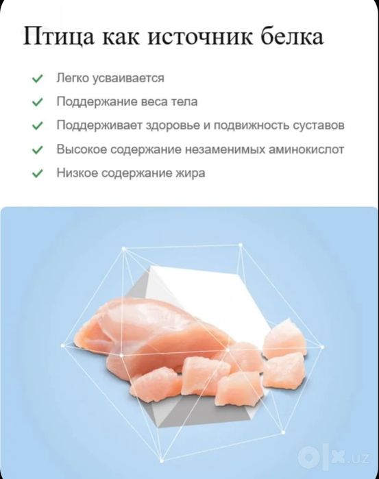 Сухой корм Nature’s Protection Kitten 2kg

Краткое описание:
Полноценн