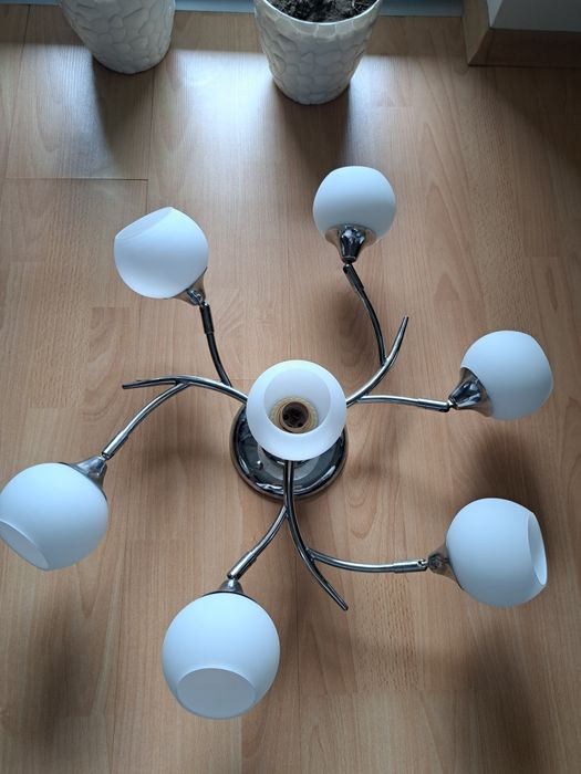 Полилей с 7 гнезда за 7 крушки