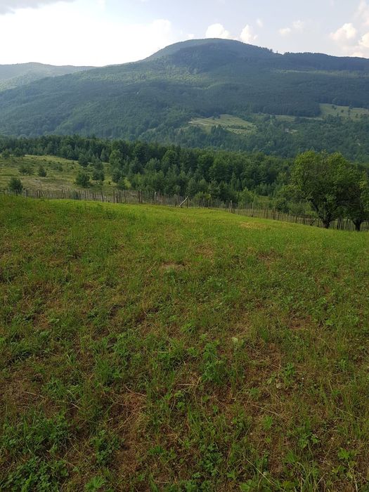 casa pamant de afaceri