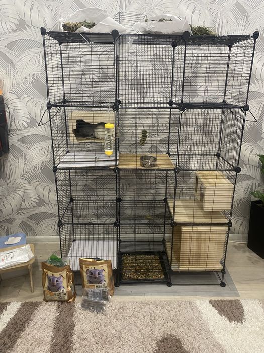 Продам шиншилл мальчик и девочка