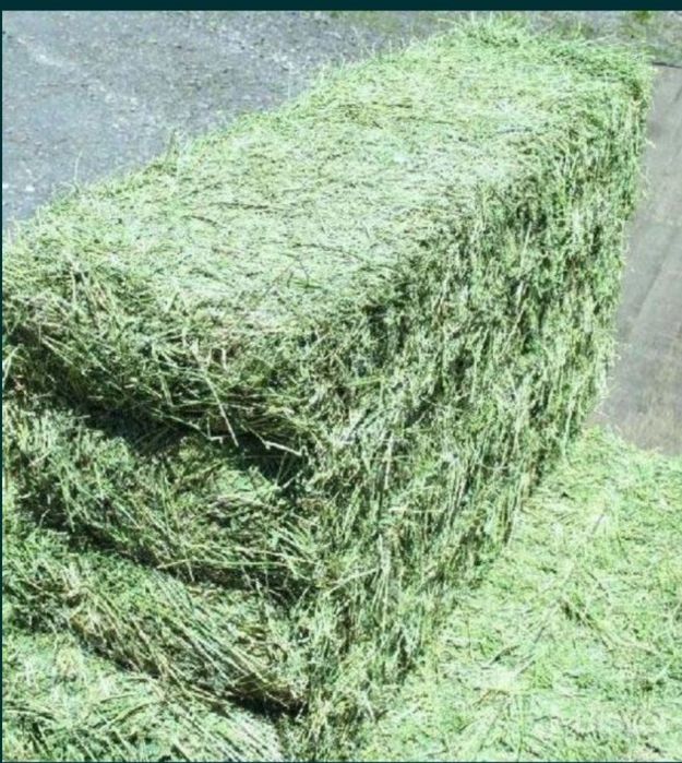 Беда пресс  донага 45000