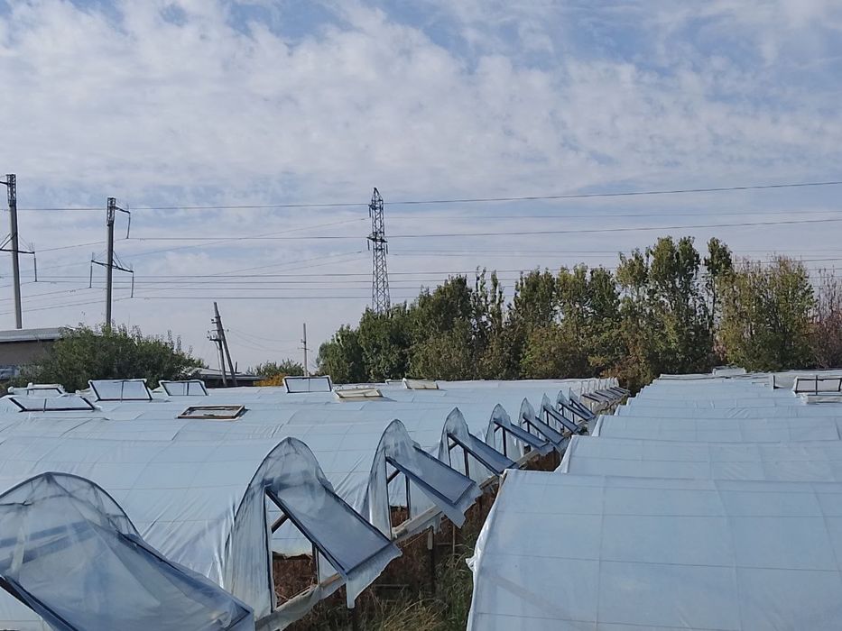 Назарбек Иттифокда 1 гектарли йер майдони сотилади