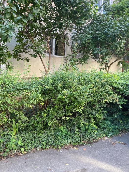 Vand apartament cu 3 camere, Deva