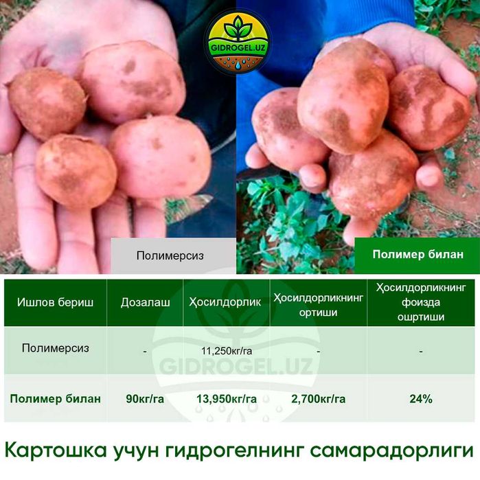 Гидрогель ўсимликлар учун