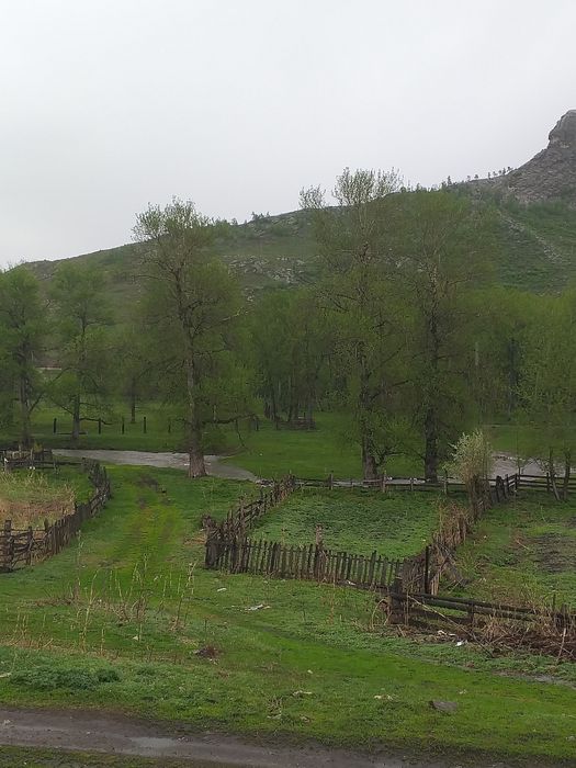 Деревенское козье молоко