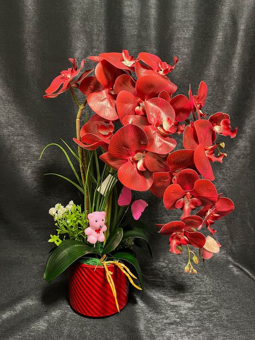 Aranjament de orhidee premium