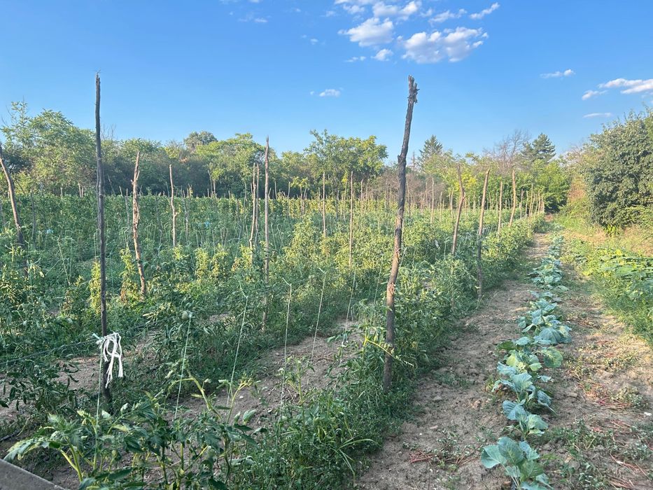 Продава се Къща в с. Гранит, Област Стара Загора - 120 кв.м за 500 €/кв.м - Снимка #6