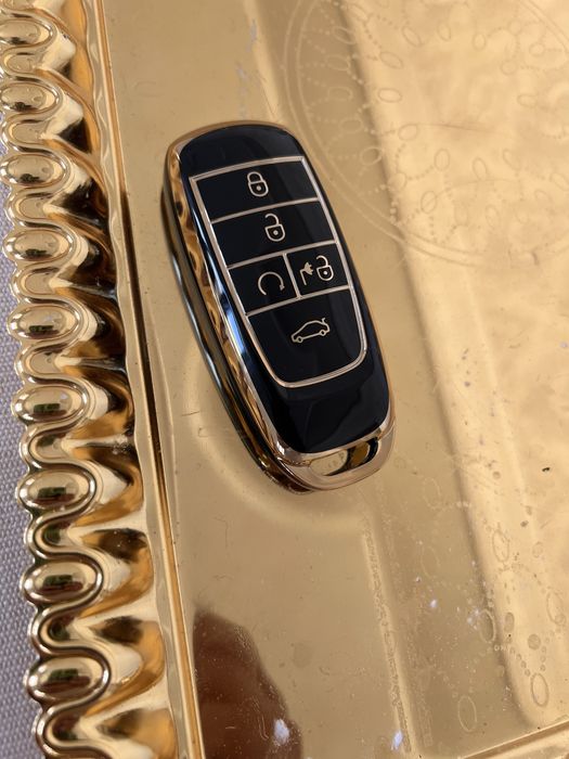 Gac aion va byd пульт чехол