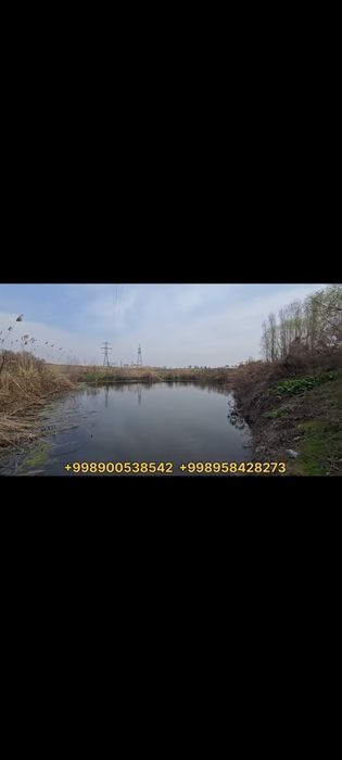 Tashkent viloyati boka tumani