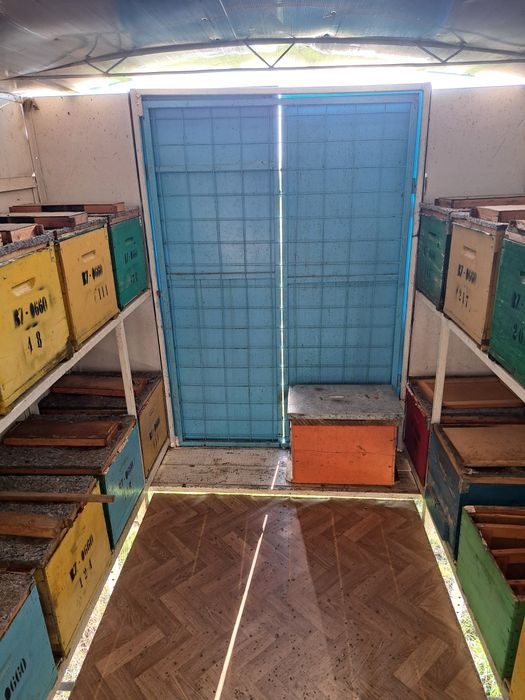 Pavilion apicol extensibil