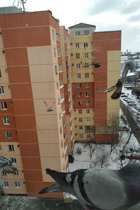 Inchiriez apartament 4 camere, Bl H4, B-dul Traian