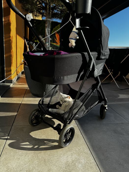 Cybex Melio Carbon