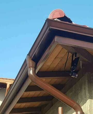 Американски безшевни улуци