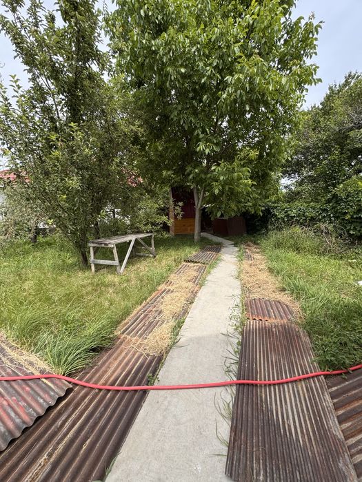 Продам дачу, Туздыбастау