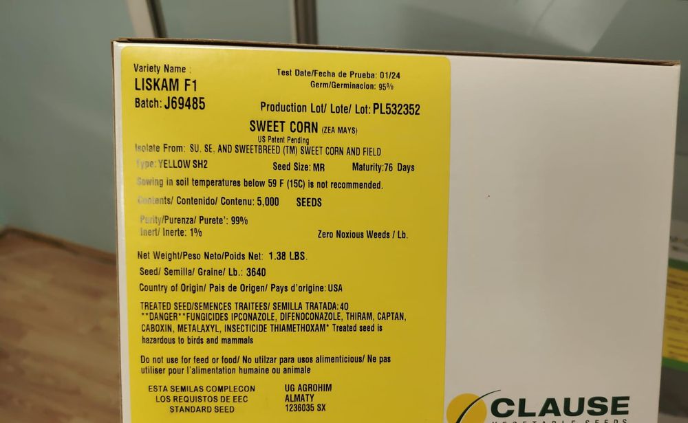 Жүгере ұрық семена кукурузы