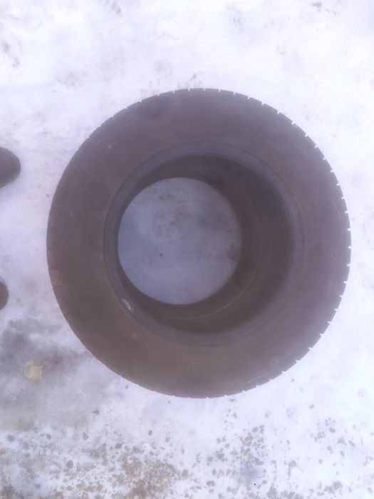 Продам шины зимние