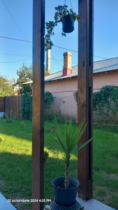 Casă  Domnești,  Teghes, construcție noua