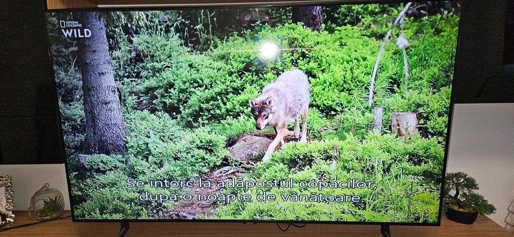 Samsung Smart TV LED 55 Inch 140 cm