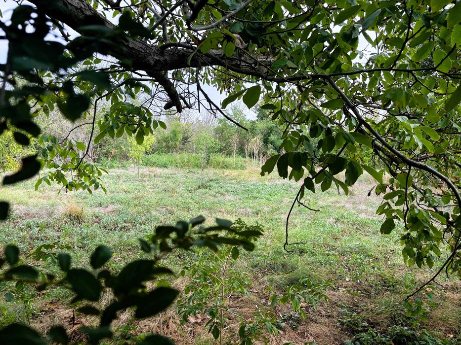 Продава се Къща в с. Млада гвардия, Област Варна - 230 кв.м за 266 €/кв.м - Снимка #10