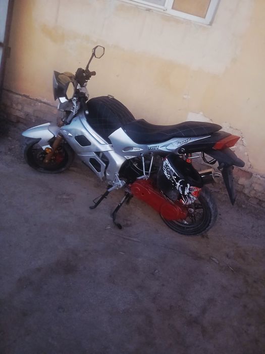 Honda benzinli squter