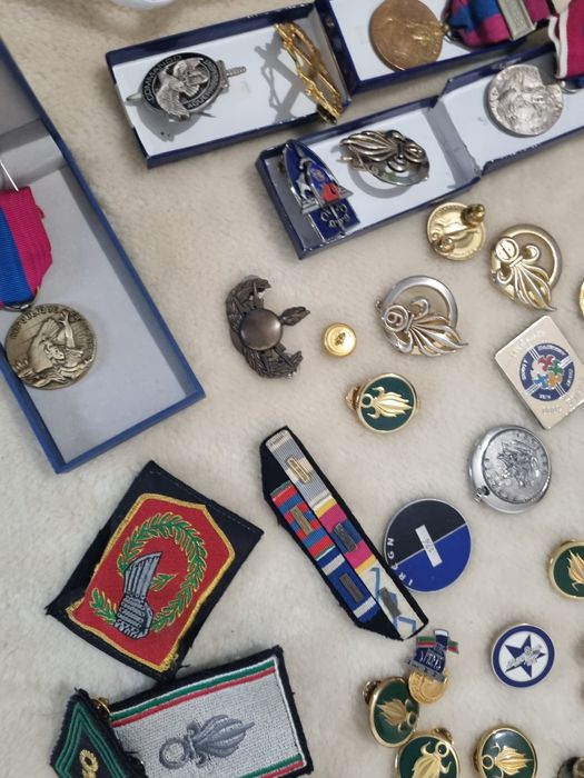 colectie insigne medalii franta legion etrangere ,legiunea straina