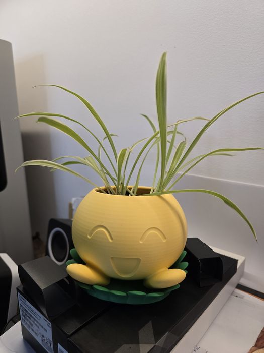 Ghiveci plante Pokemon Oddish
