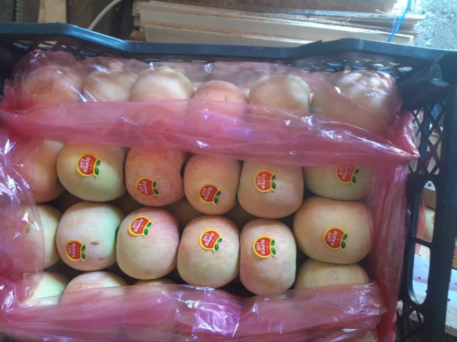 Продам яблоки оптом