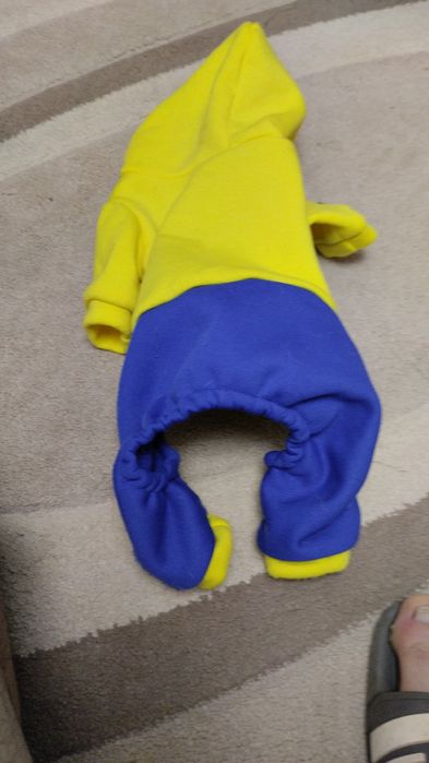 Hainute de cățel moderne